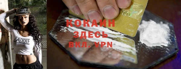 гидра Абаза