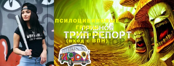 гидра Абаза
