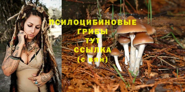 ALPHA-PVP Осташков